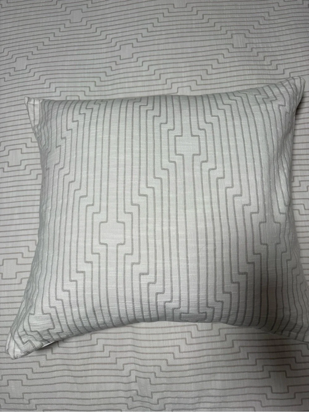Three (3) West Elm Euro Shams